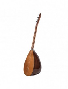 Ceviz Ağacı Gövde Kısa Sap Bağlama 2