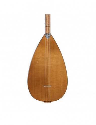 Ceviz Ağacı Gövde Kısa Sap Bağlama