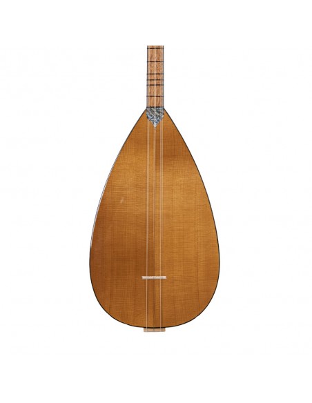 Ceviz Ağacı Gövde Kısa Sap Bağlama