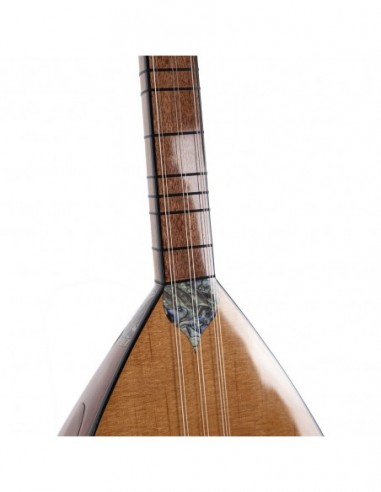 Maun Ağacı Gövde Kısa Sap Bağlama