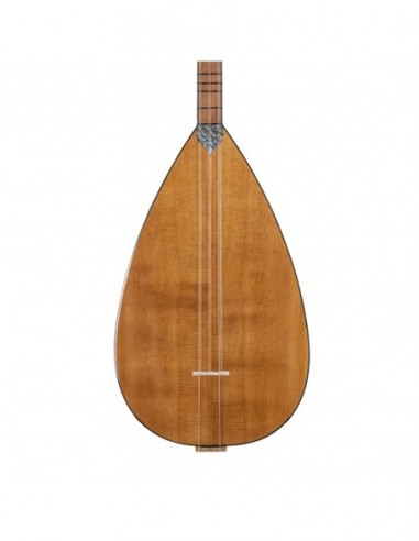 Çınar Ağacı Gövde Kısa Sap Bağlama