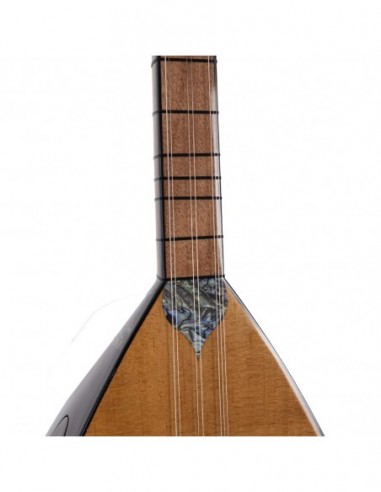 Çınar Ağacı Gövde Kısa Sap Bağlama