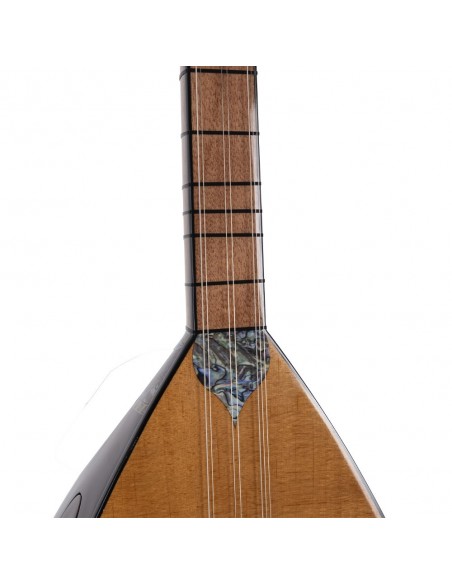 Çınar Ağacı Gövde Kısa Sap Bağlama