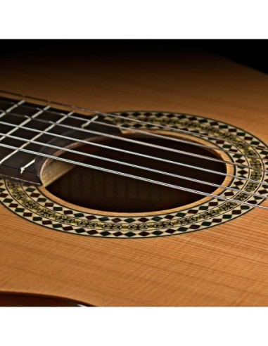 Manuel Rodriguez C11 Klasik Gitar