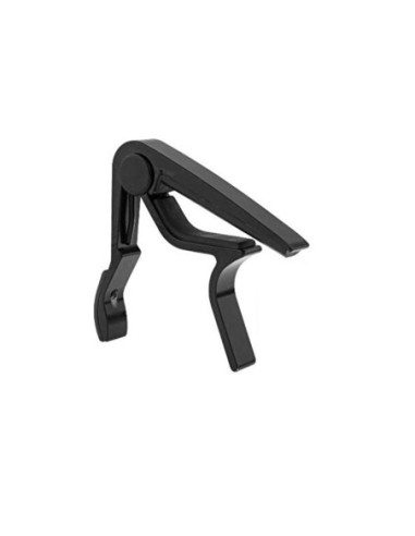 Last Voice LCT-999 Kapo