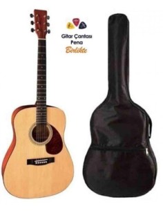 VGS D-1 VGS-SB Akustik Gitar