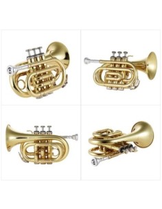 Jinbao Piccolo Trompet 2